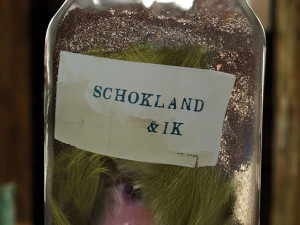 Schokland & ik
